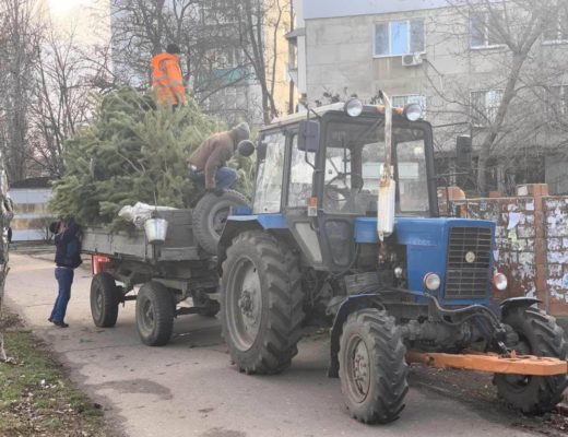ялинка