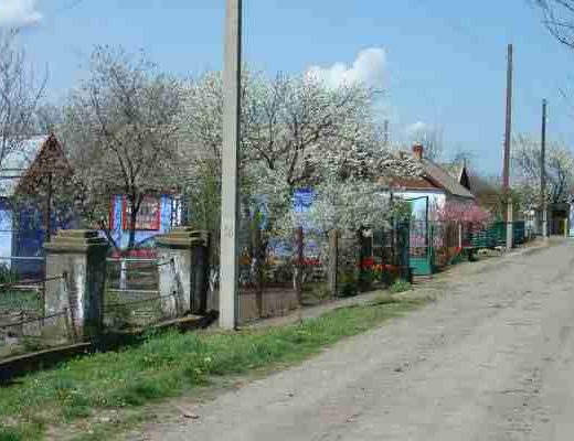 жовтень