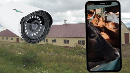 Система відеоспостереження на фермі 